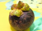 Buah Manggis