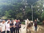 Ketua DPRD Kabupaten Bogor Bogor, Rudy Susmanto menyalurkan hewan kurban dari Ketum Partai Gerindra, Prabowo Subianto. Prabowo kurban 48 ekor sapi untuk warga Desa Hambalang. Foto: istimewa