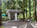 Suasana pagi di ‘kembali kealam cafe’, images sumber: fatra sugiono