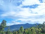 Bromelia Resort di Puncak Bogor, images sumber: Rinny Bromelia Resort di Puncak Bogor, images sumber: Rinny