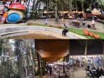 Kopi Daong Hutan Pinus Bogor menyuguhkan suasana indah alam pohon pinus yang indah