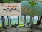 Batoo Farm Adventure Bogor adalah destinasi edukasi petualangan pertanian terpadu Batoo Farm Adventure Bogor adalah destinasi edukasi petualangan pertanian terpadu