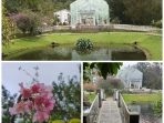 Taman Sakura kebun raya Cibodas,