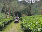 Fun Offroad Trek Citeko Cisarua Bogor, images sumber: Marko