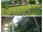 Curug Aren Forest Club Sentul Bogor