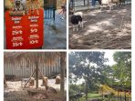 Suasana di D’Otentik River Park Zoo