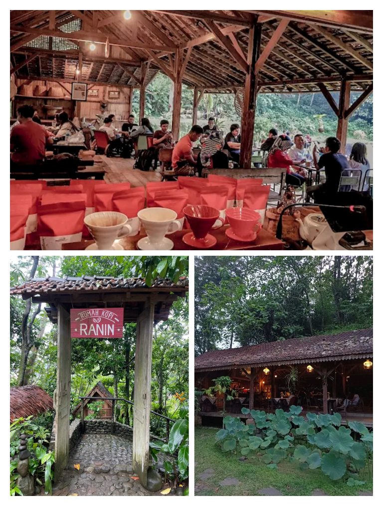Rumah Kopi Ranin Berada di dalam Kawasan Hutan IPB, Tempatnya Syahdu ...