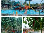 Berbagai aktivitas yang bisa di lakukan di kolam renang Wisata Alam Candali Rancabungur Kabupaten Bogor