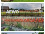 Agro Eduwisata Organik kawasan wisata alam dan edukasi pertanian di Mulyaharja, Bogor Selatan, images sumber: Google Crome