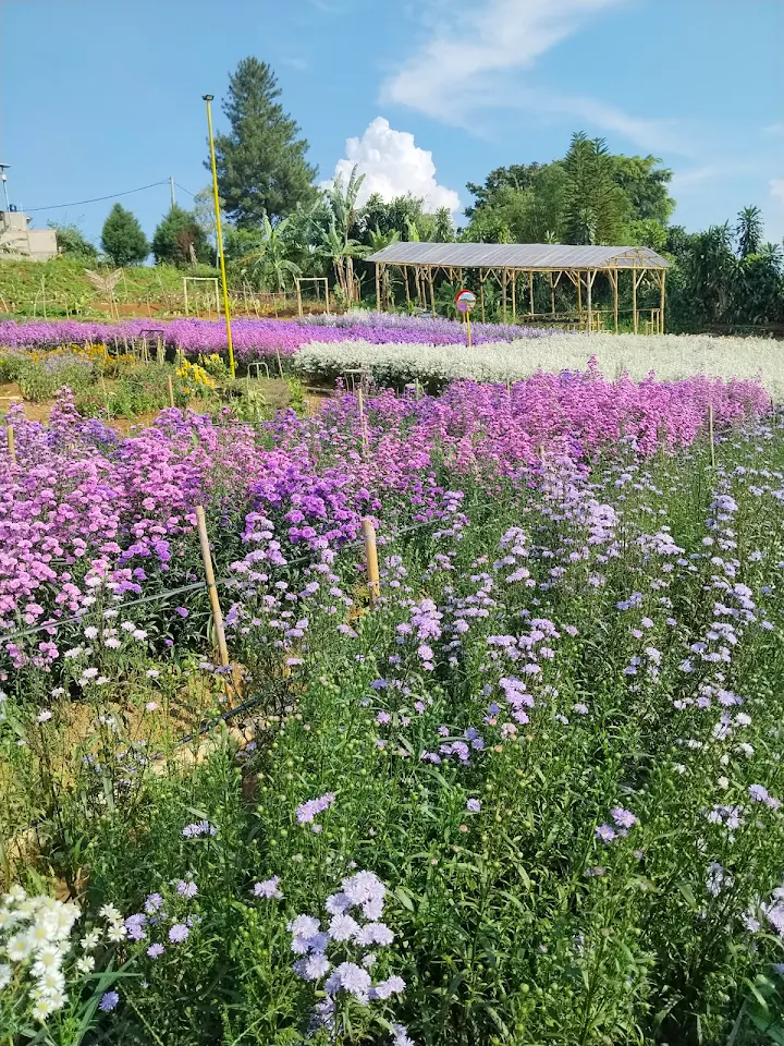 Taman Bunga Kemuning, images sumber: Youla