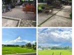 Pemandangan sekitar kawasanEveryThey Coffee and Plant Bogor, images sumber: Google Crome