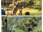 Keindahan Telaga Warna Camping Puncak Bogor, images sumber: Google Crome, Talaga Warna Keindahan Telaga Warna Camping Puncak Bogor, images sumber: Google Crome, Talaga Warna