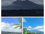 Suasana di Qimatu Kitchen and Garden, images sumber: Google Crome Suasana di Qimatu Kitchen and Garden, images sumber: Google Crome