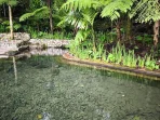 Wisata Alam Telaga Ciburial, images sumber: Google Crome, Rizky Ariesta